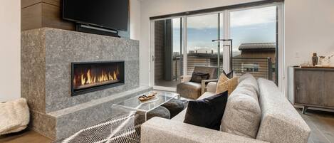 TV, fireplace, video games