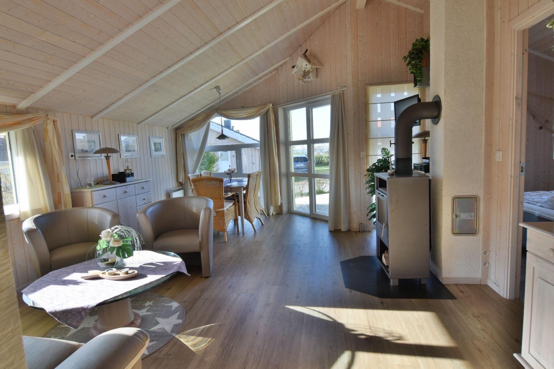 Televisión, chimenea y reproductor de DVD 