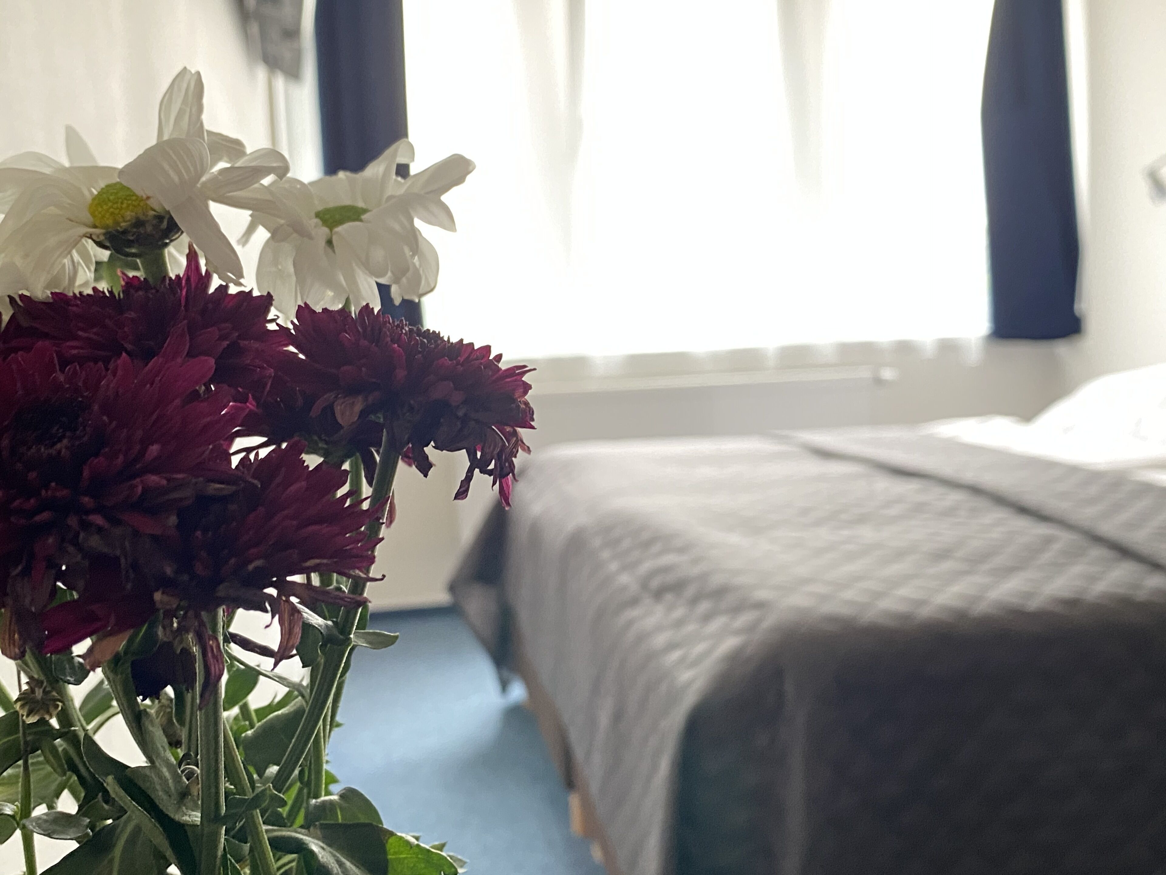 superior double room, 1 bedroom, park view | 1 bedroom, desk, laptop workspace, blackout curtains