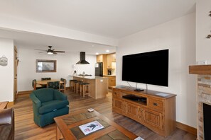 TV, fireplace, DVD player