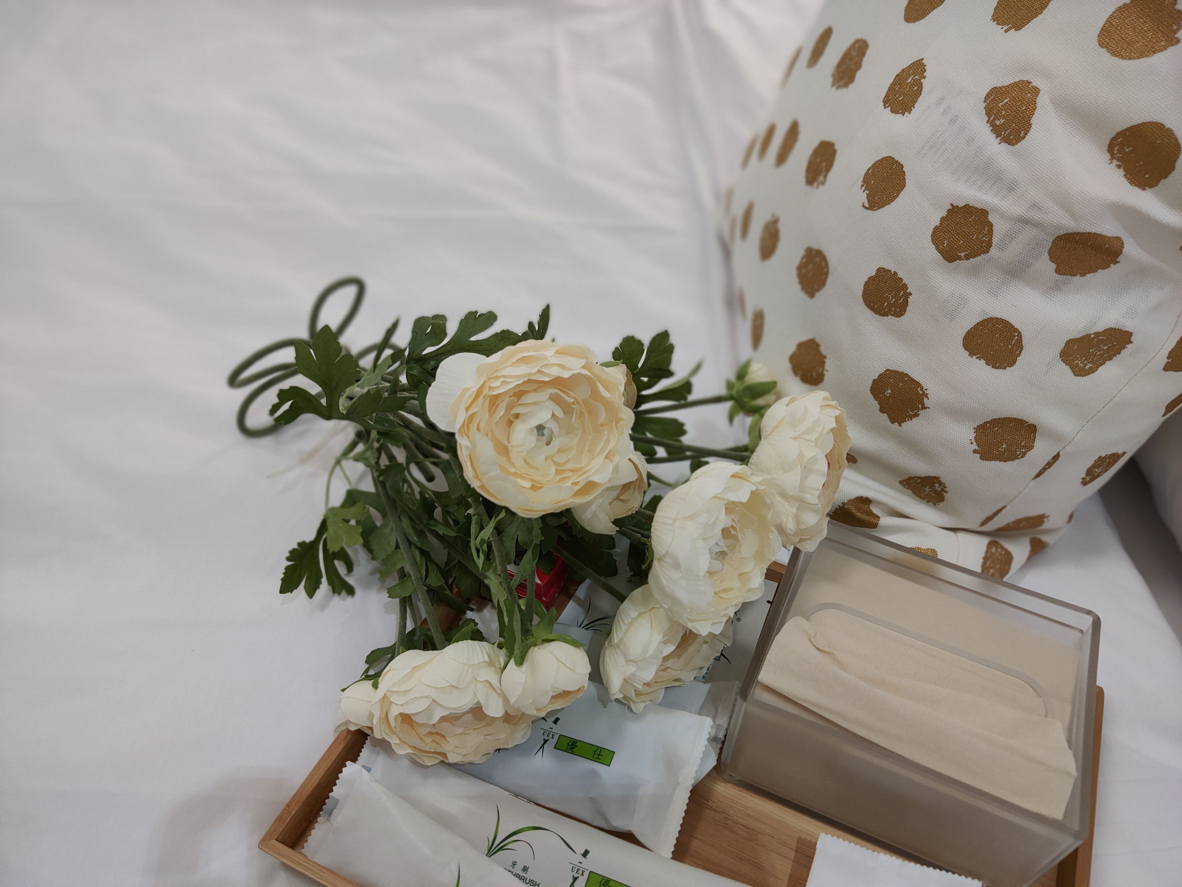 family suite (no parking) | 1 bedroom, premium bedding, desk, blackout curtains