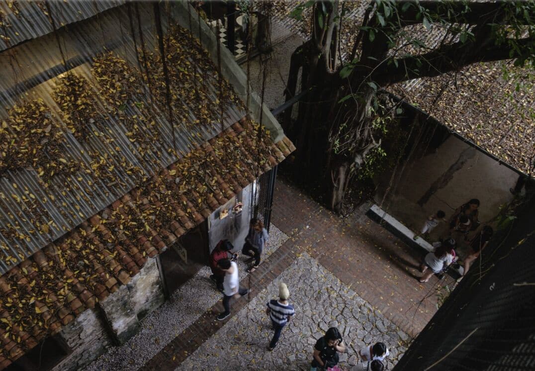 Vista aérea de un patio con tejado de baldosas, un árbol grande y gente caminando.
