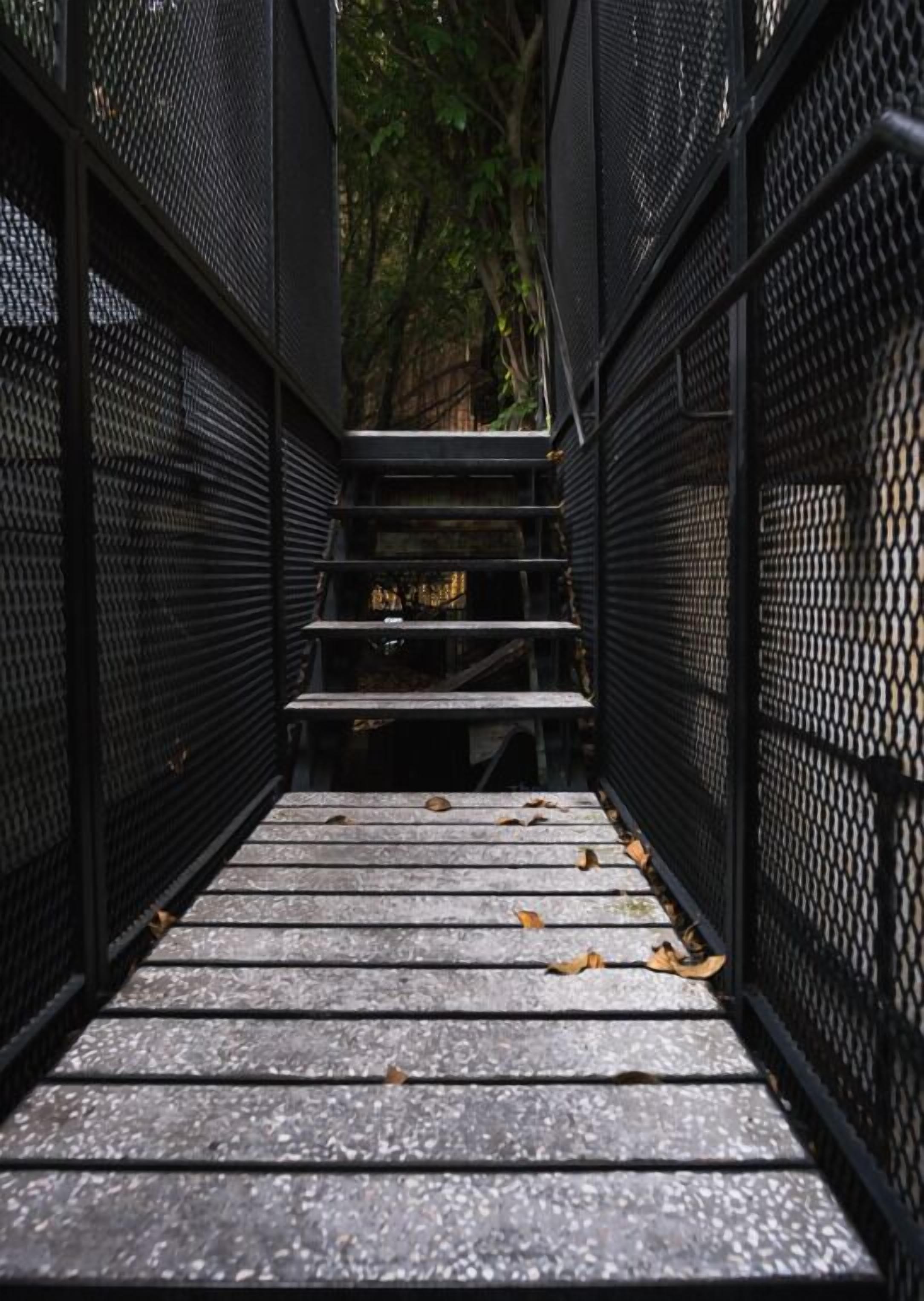A metal staircase with a metal railing, leading to a higher level.