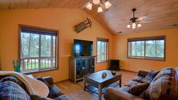 TV, fireplace, DVD player