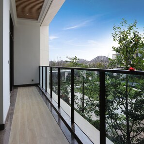 Vista del balcón