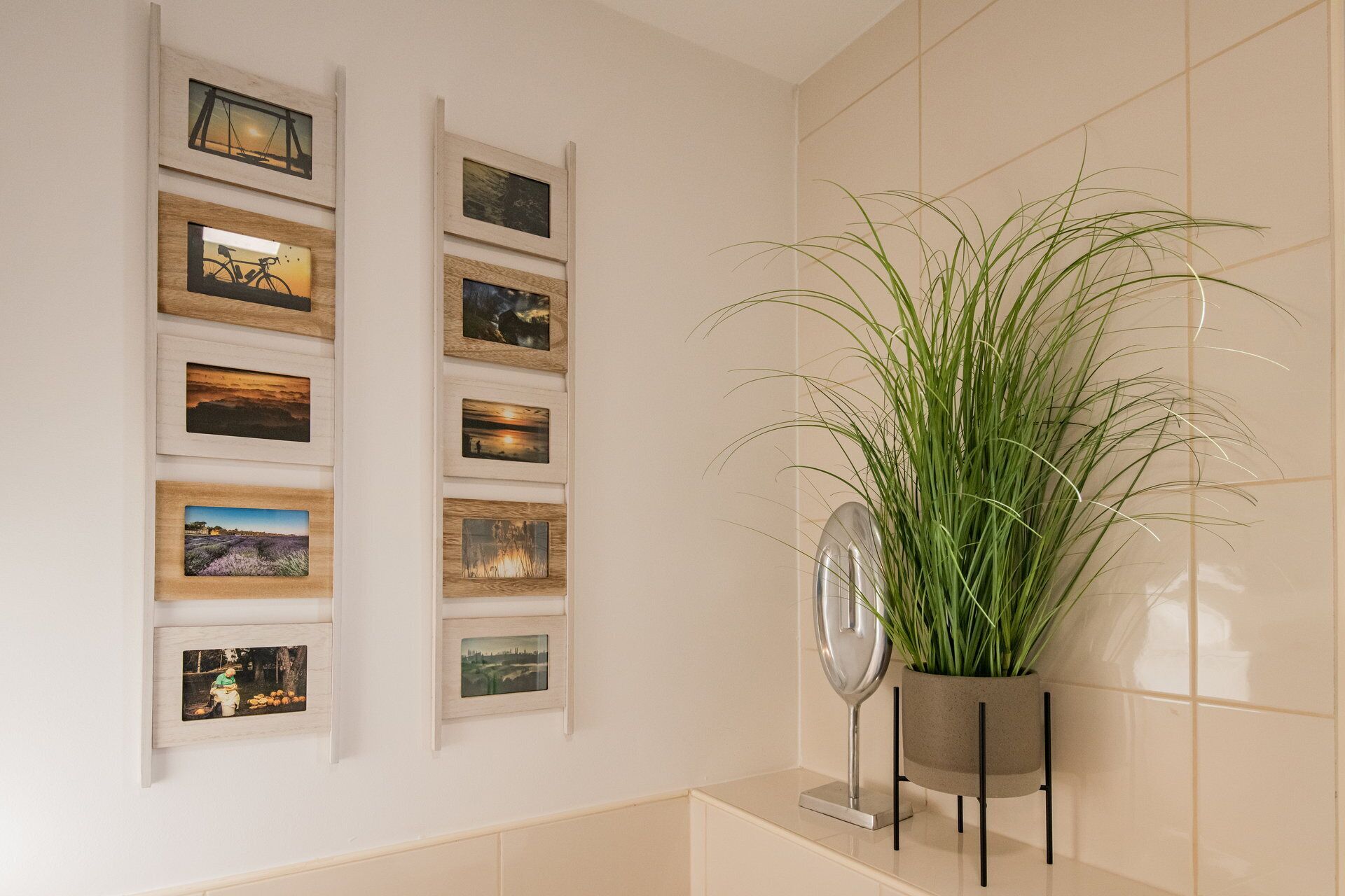 A wall with a series of framed photographs and a potted plant.