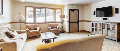 TV, fireplace, DVD player, books