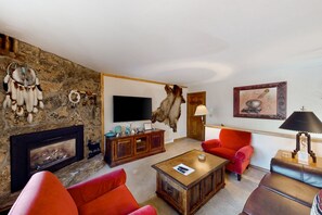 TV, fireplace, DVD player, books