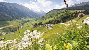 A valley with a small village, surrounded by mountains and greenery. - Hotel Cuntera (Medel)