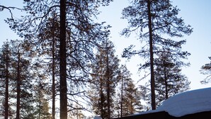 A cabin with a large window, surrounded by tall trees and snow. - Arctic Skylight Lodge (Muonio)