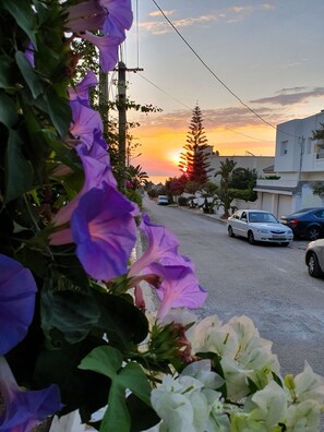 المنطقة المحيطة بالمنشأة