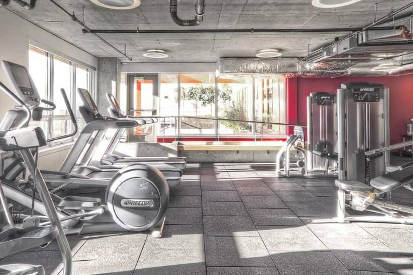 A gym with treadmills, a bench, and weight machines.