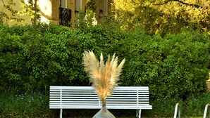 Une piscine avec un banc blanc et des décorations à base de plumes d’herbe des pampas, entourée d’une végétation luxuriante et d’un bâtiment doté de balcons.