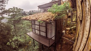 Een rustieke houten constructie met een rieten dak, een balkon en een raam.