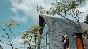 Een modern gebouw met een gebogen dak en grote ramen, omgeven door bomen en groen.
