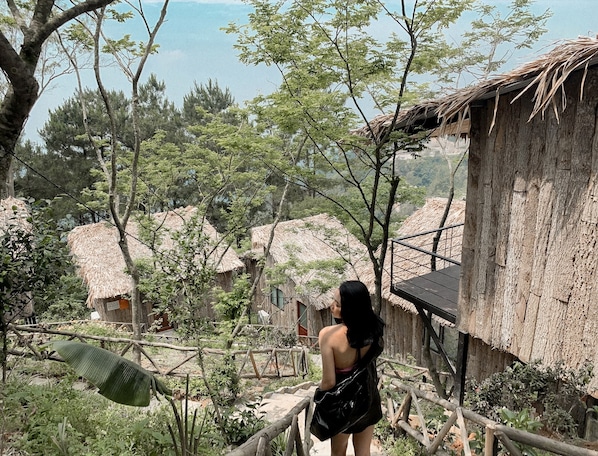 Terrace/patio - Chillout Village Tam Dao (Tam Dao)