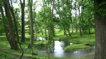 Hồ bơi
