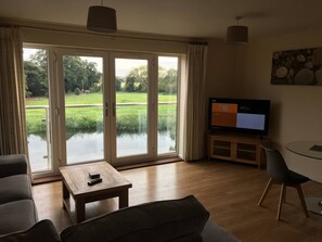 Televisor