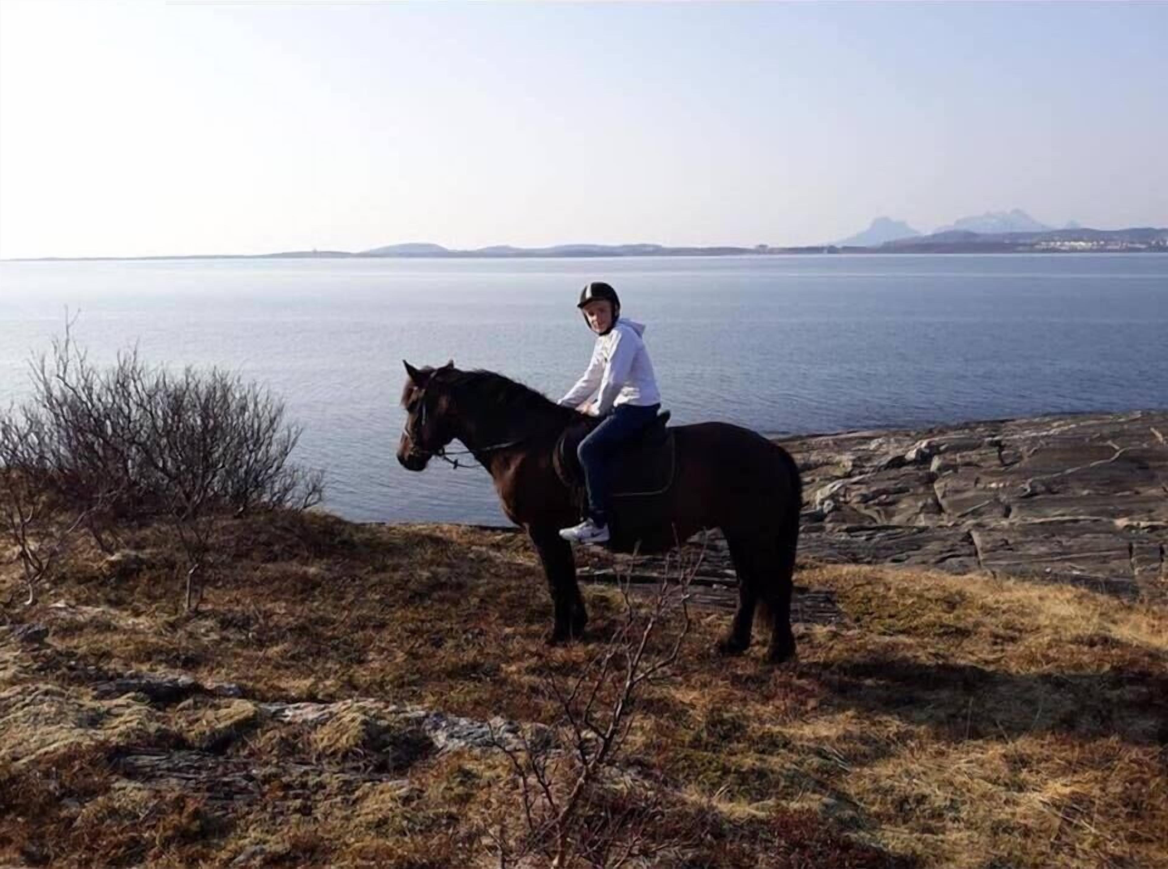 A person riding a horse on a rocky shore with a body of water and mountains in the background.
