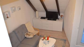 Een televisie, een dvd-speler, boeken en een stereo