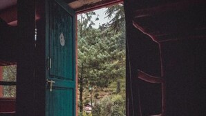 A room with a red carpet, a wooden ladder, and a teal door leading outside. - The Hostalgic Jibhi - Hostel (Banjar)