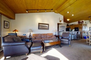 TV, fireplace, DVD player, books