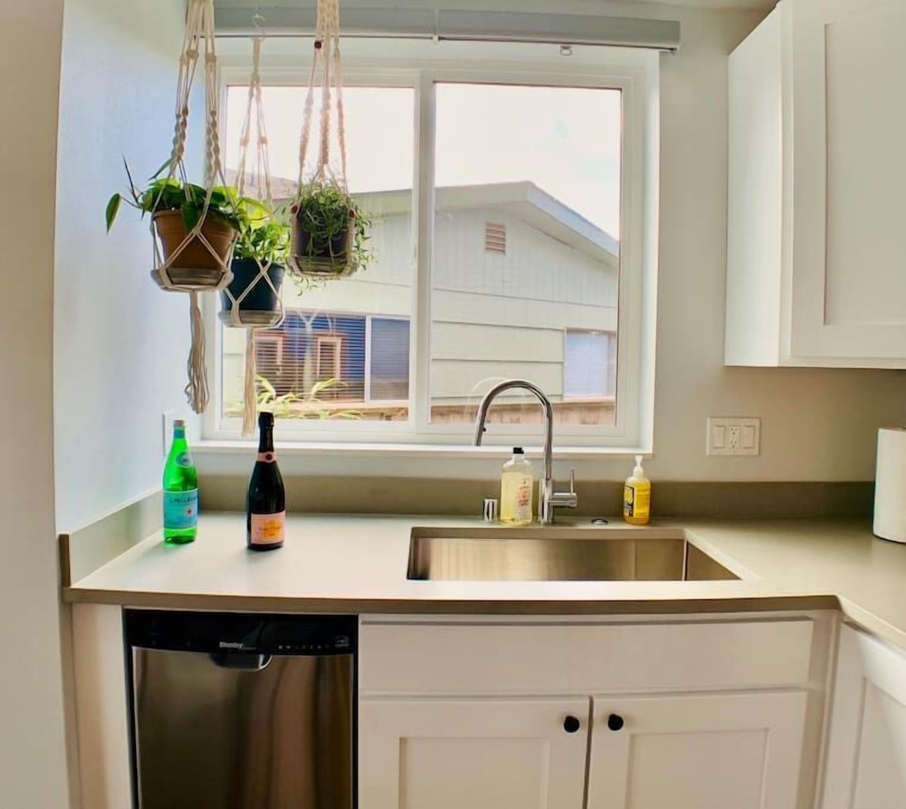 A kitchen with a window, a sink, and hanging plants.