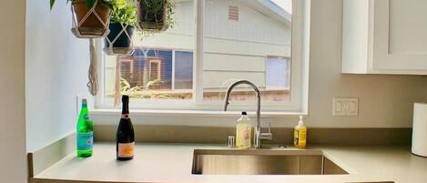 A kitchen with a window, a sink, and hanging plants.