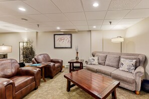 TV, fireplace, DVD player