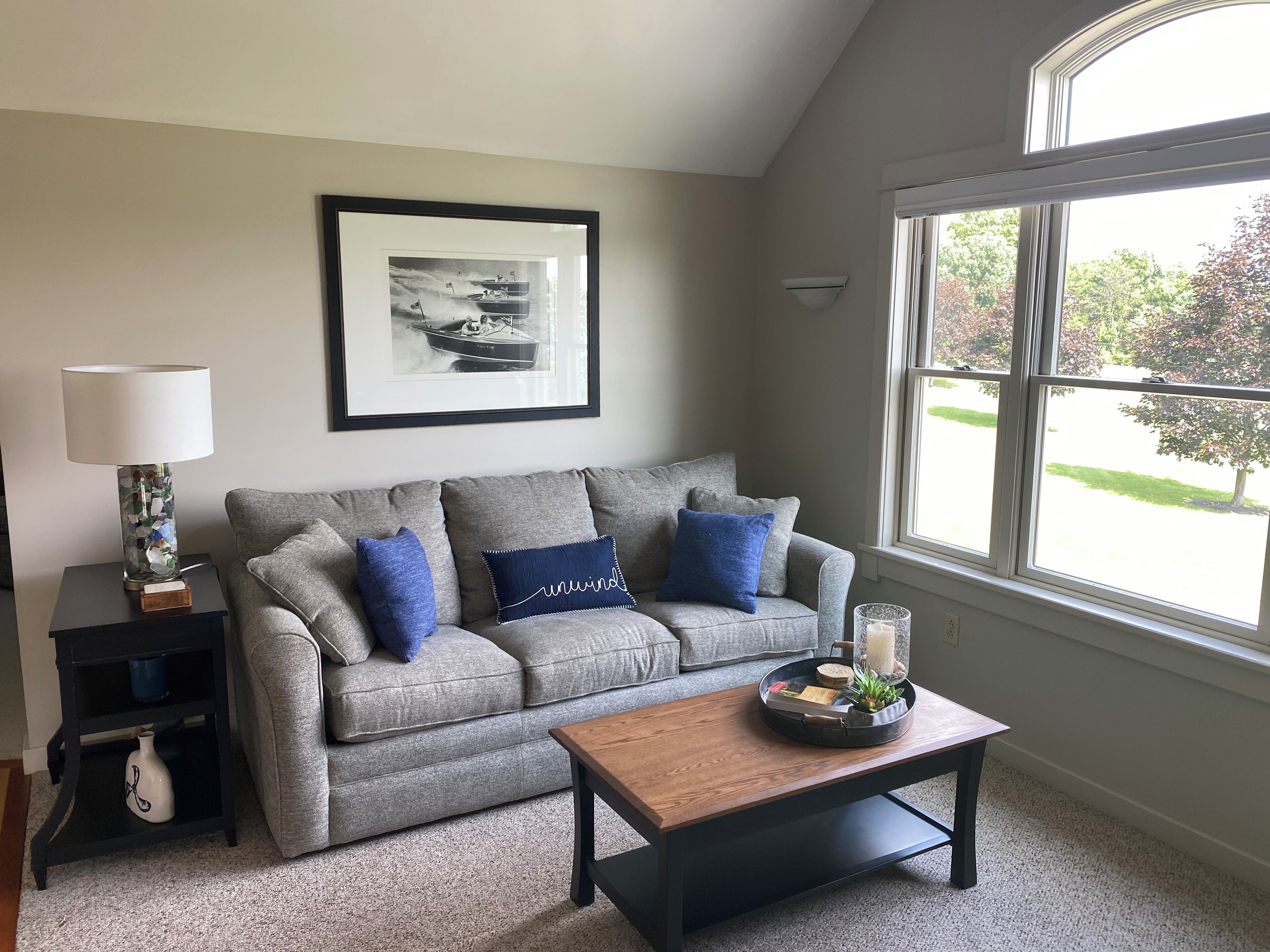 Smart TV, DVD player, books, video library