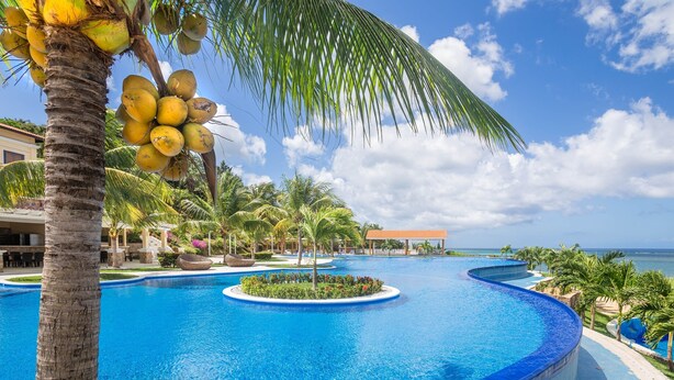 Une piscine d’hôtel bordée de palmiers, sous un ciel dégagé.