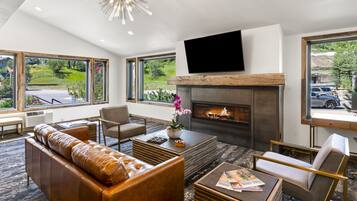 Televisión, chimenea y estéreo