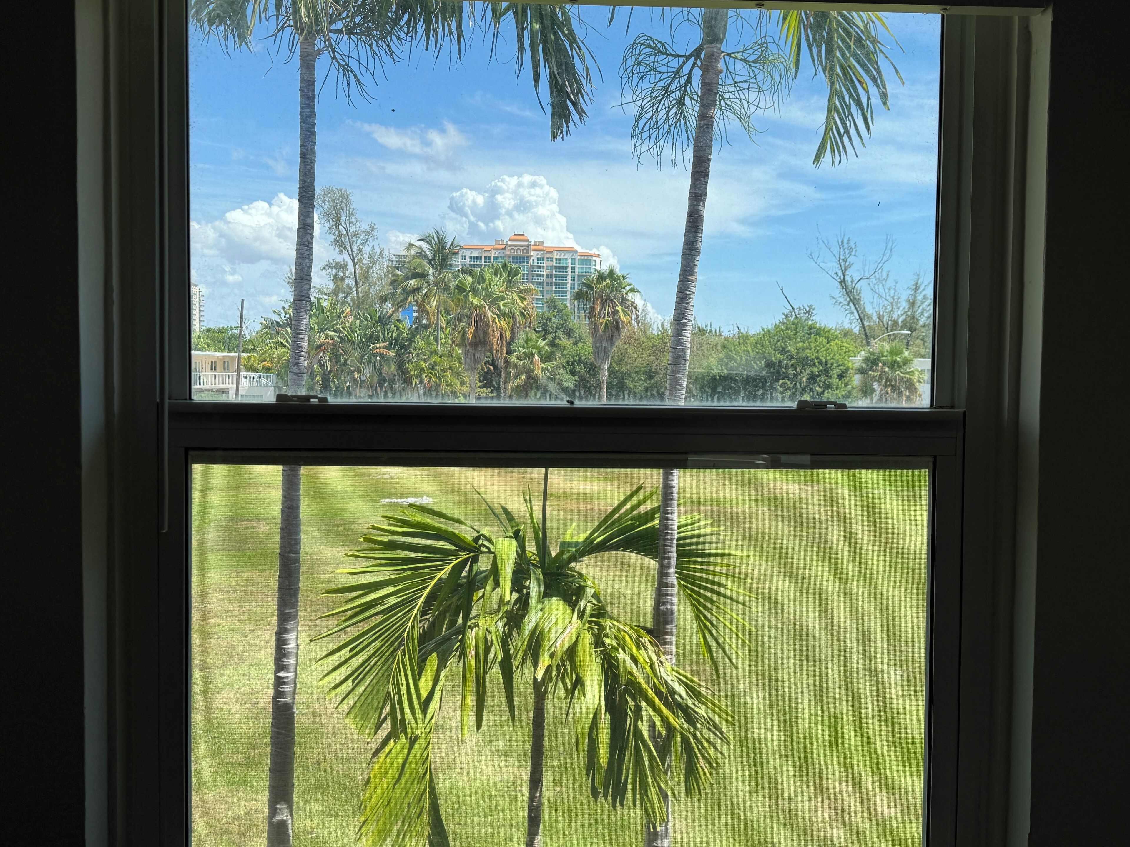 deluxe room | view from room