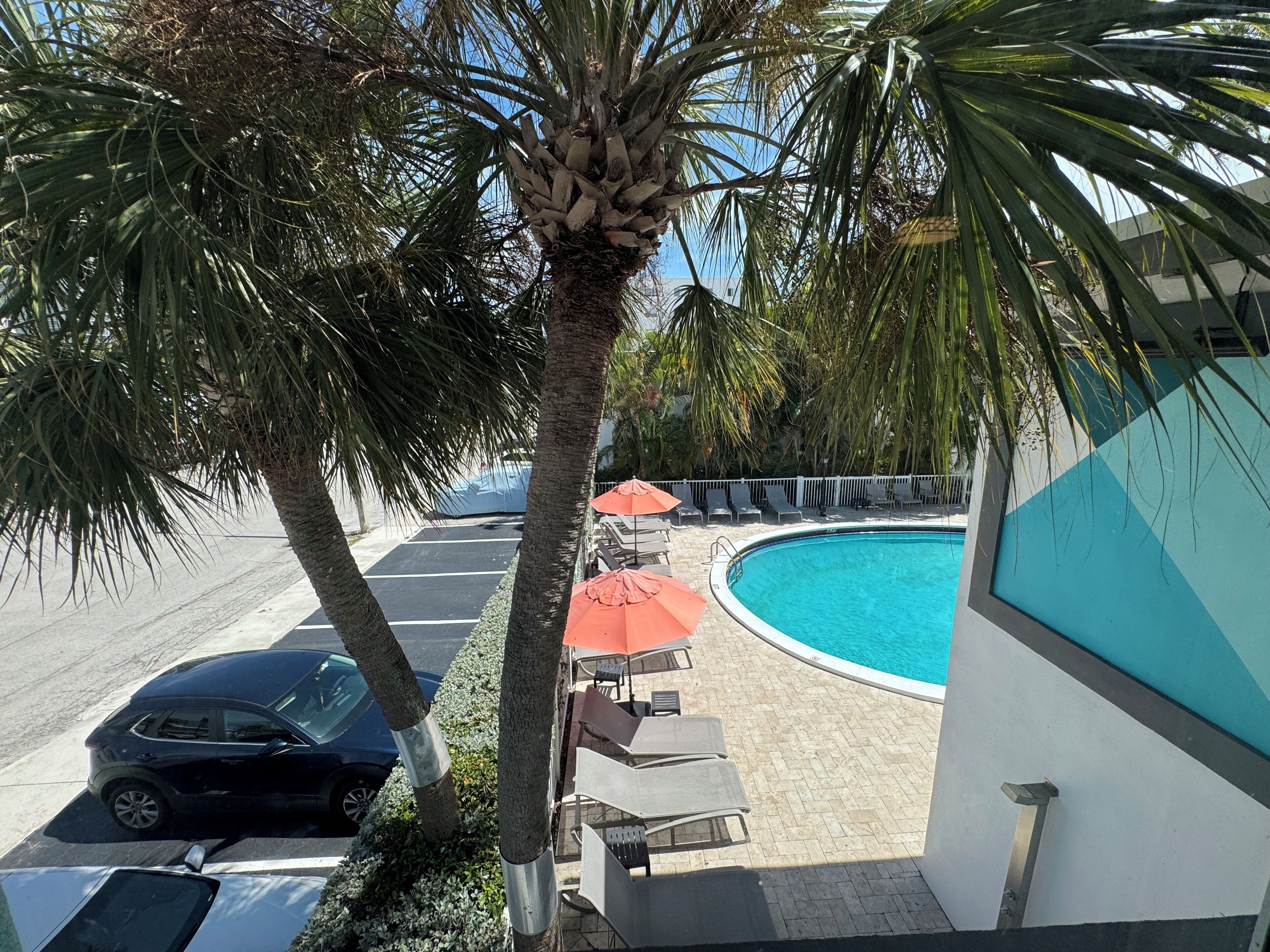 Une piscine entourée de chaises longues et de parasols, bordée de palmiers, et un espace de stationnement avec des voitures.