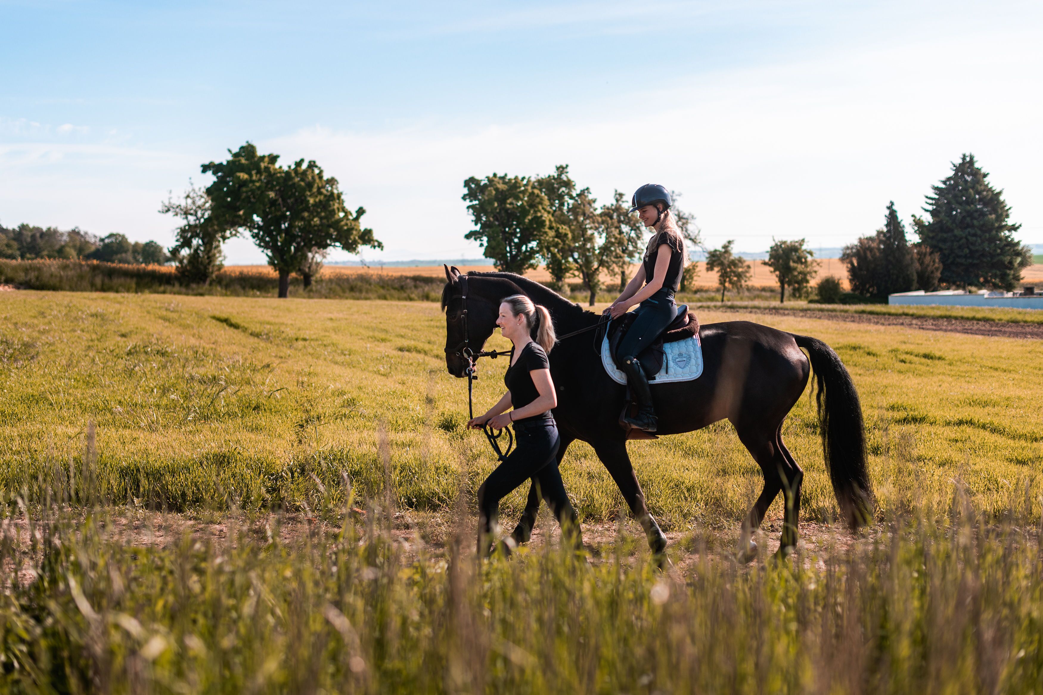 Eine Person führt ein Pferd durch ein grasbewachsenes Feld mit Bäumen im Hintergrund.