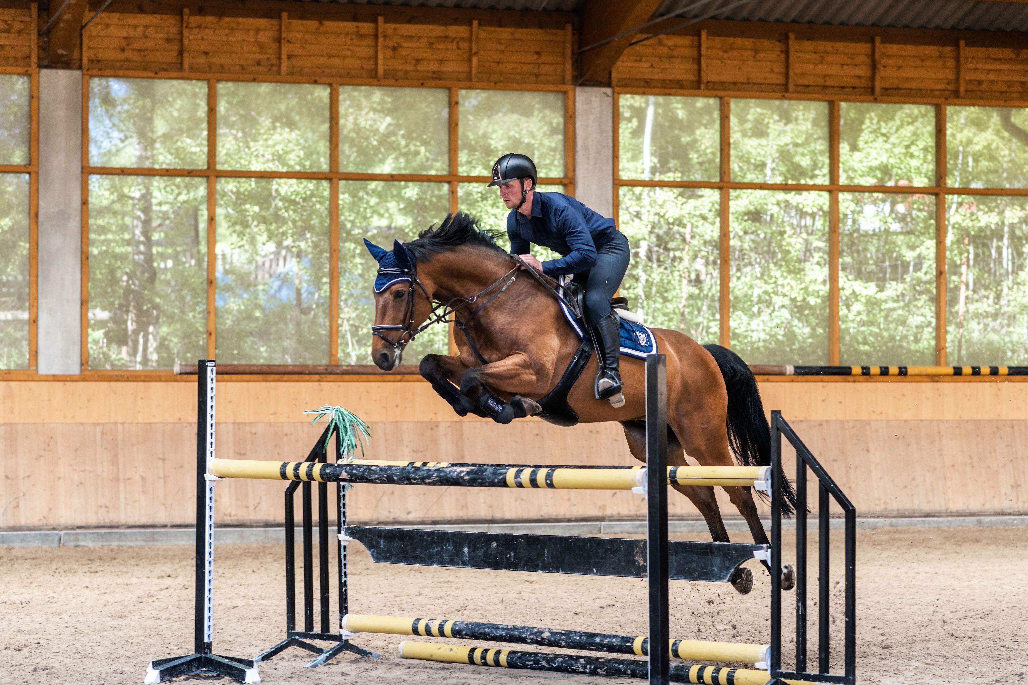 A horse and rider jumping over an obstacle in an indoor arena with wooden walls and windows.