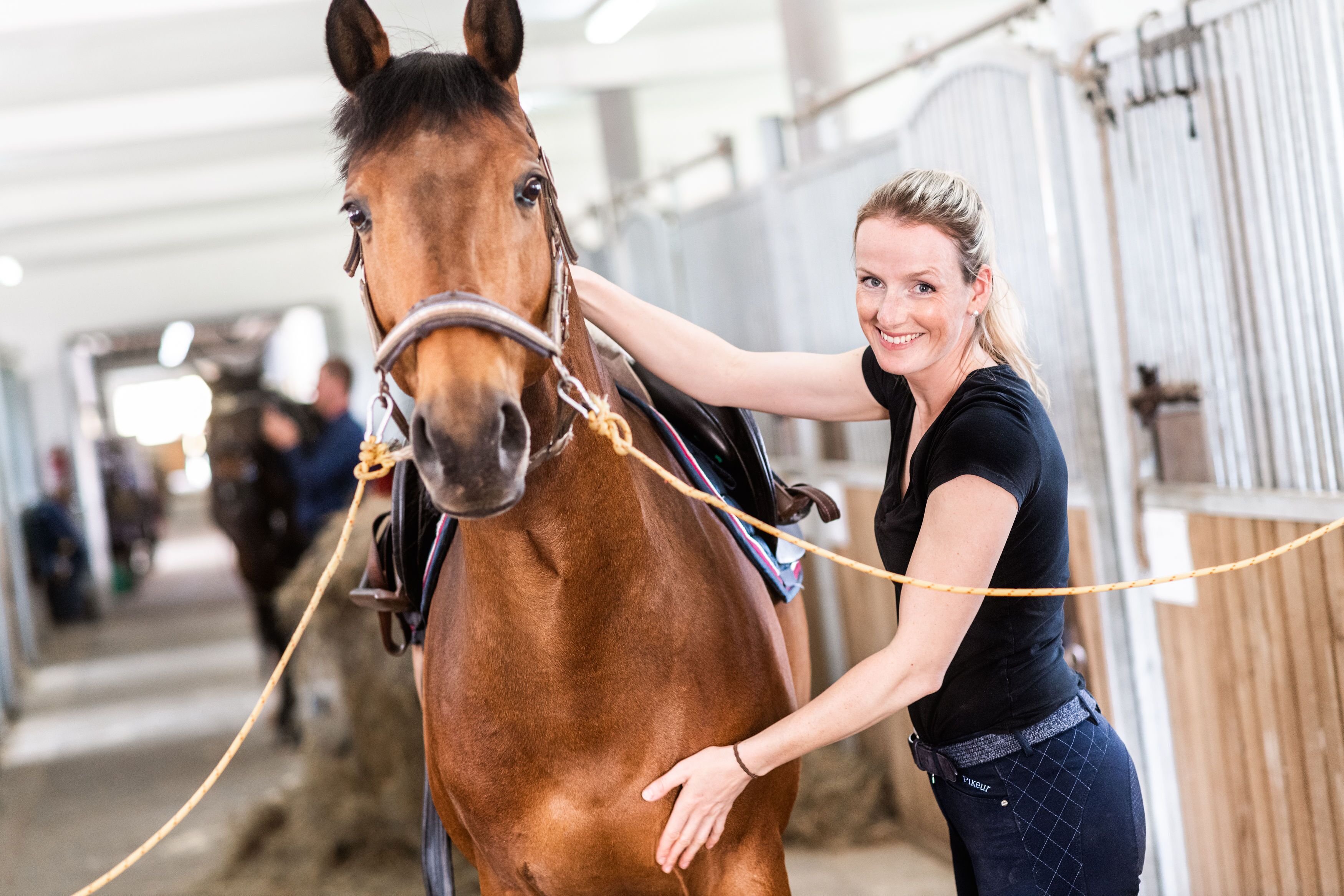 A woman grooming a horse in a stable.