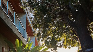 A wooden pathway flanked by lush greenery leading to a building with a balcony. - Vila Sal Noronha (Fernando de Noronha)