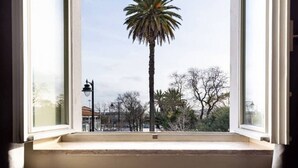 A window with a view of a tall palm tree and bare trees, suggesting a winter or early spring setting. - JOIVY Urban 2BR Apt w/ Park view, in Cais do Sodré (Lisboa)