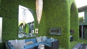 Unclassified image, 5 of 11, button - Greenhouse Flats (Dallas)