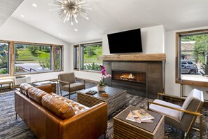 TV, fireplace, DVD player