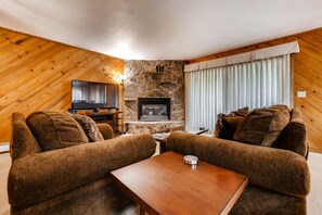 Een televisie, een open haard, een dvd-speler en boeken