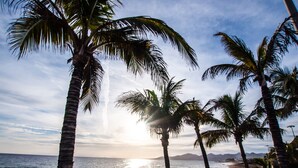 Ein Strand mit Palmen und dem Meer.
