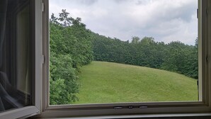 Ikkunasta avautuu näkymä vehreälle kukkulalle ja tiheään metsään.