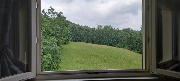 A window with a view of a grassy hill and dense trees. - A welcoming retreat in the woods of the Apennines: Family Suite or for a group (Compiano)