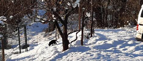 Sci e sport sulla neve