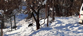 A welcoming retreat in the woods of the Apennines: Family Suite or for a group