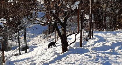 A welcoming retreat in the woods of the Apennines: Family Suite or for a group