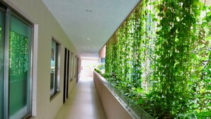 Un pasillo con barandilla de vidrio en un lado y una pared de plantas colgantes en el otro.