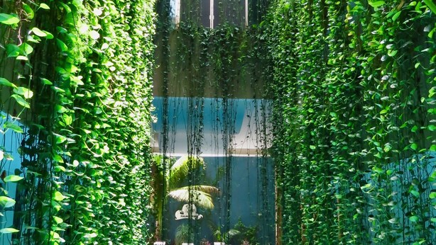 Una piscina interior rodeada de frondosa vegetación.